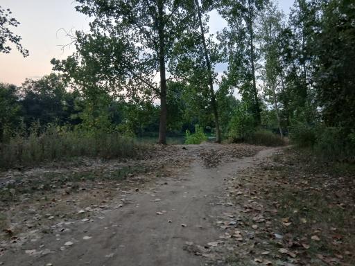 عکس رودخانه سفیدرود