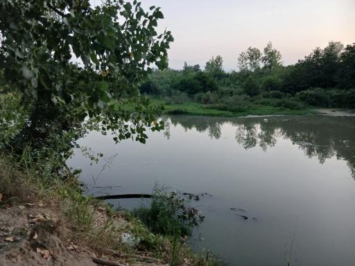 عکس رودخانه سفیدرود