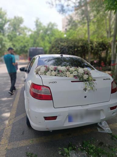 عکس گل یوکا
