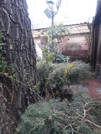 عکس موزه کتاب آرایی ملک