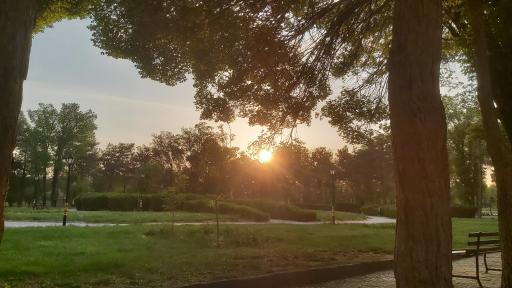 عکس پارک شهر