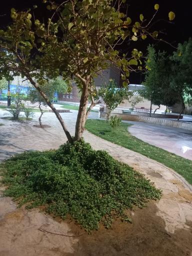 عکس بوستان باهنر