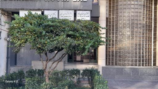 عکس دکتر محسن موحدی یگانه