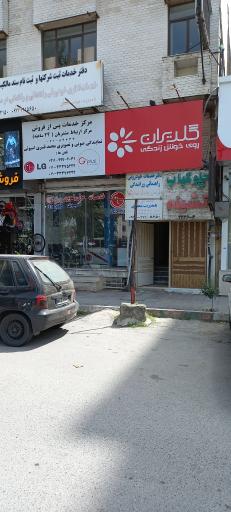 عکس نمایندگی رسمی گلدیران 