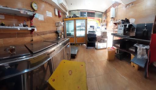 عکس مرغ کوهکن شعبه 3