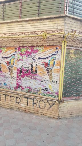 عکس قصر پرنده نادر