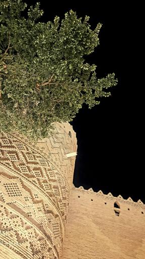 عکس ارگ کریم خان زند