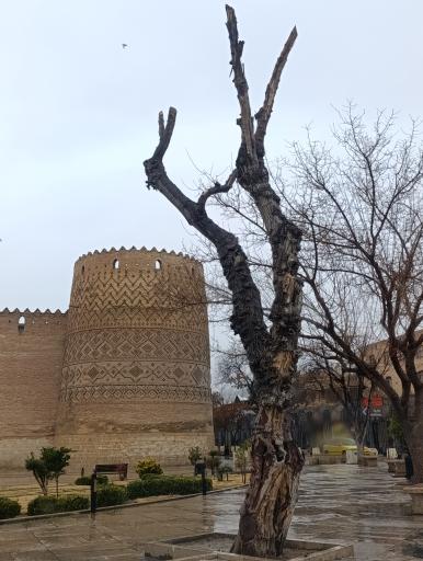 عکس ارگ کریم خان زند