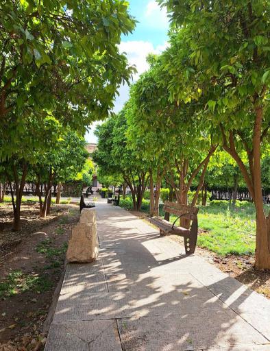 عکس ارگ کریم خان زند