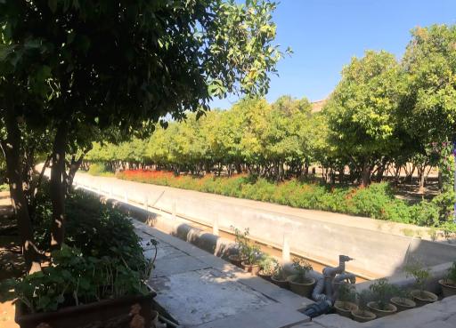 عکس ارگ کریم خان زند