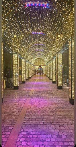 عکس ارگ کریم خان زند