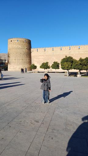 عکس ارگ کریم خان زند