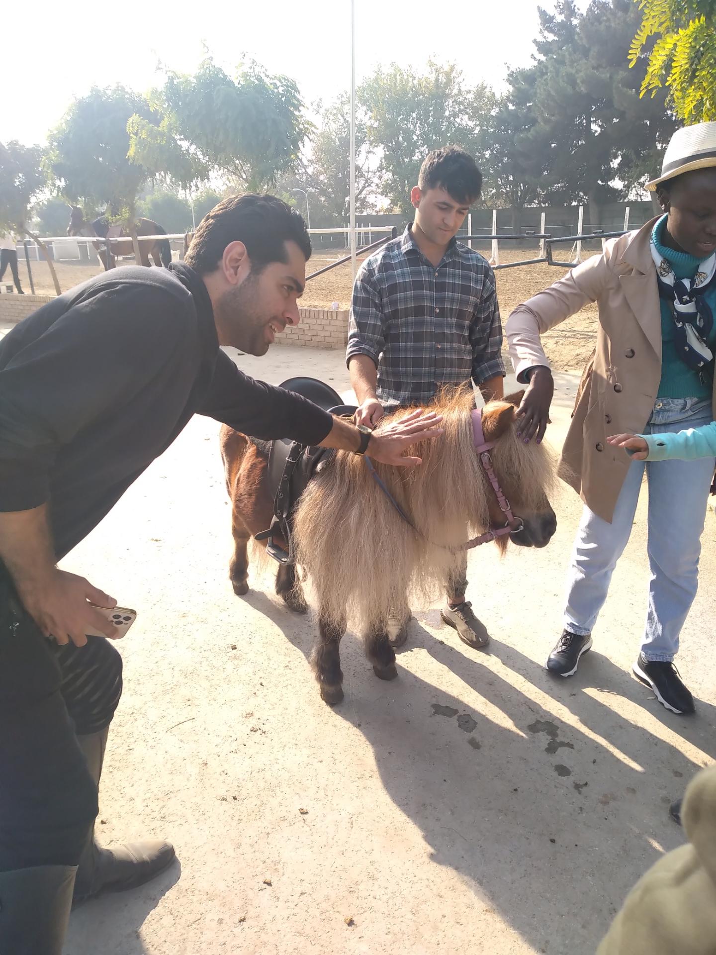 عکس باشگاه اسب سواری مقدم