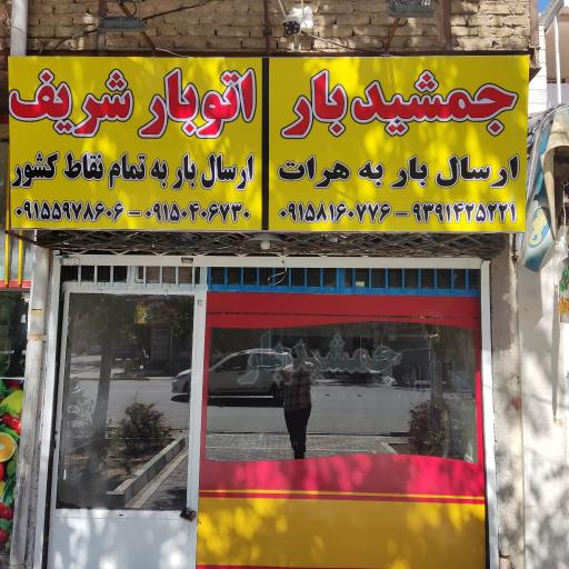 عکس جمشیدبار