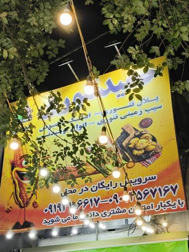 عکس حمید تنوری