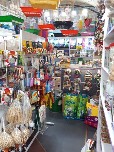 عکس قصر پت شاپ پوپیا