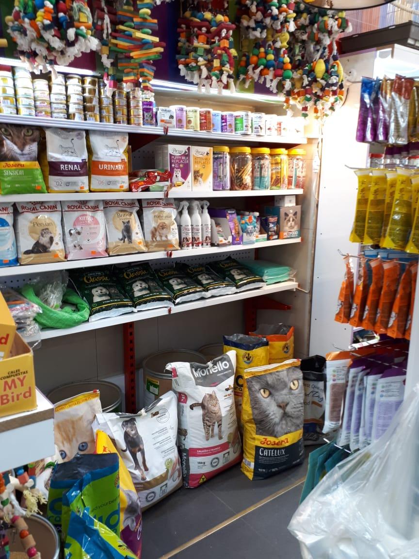 عکس قصر پت شاپ پوپیا