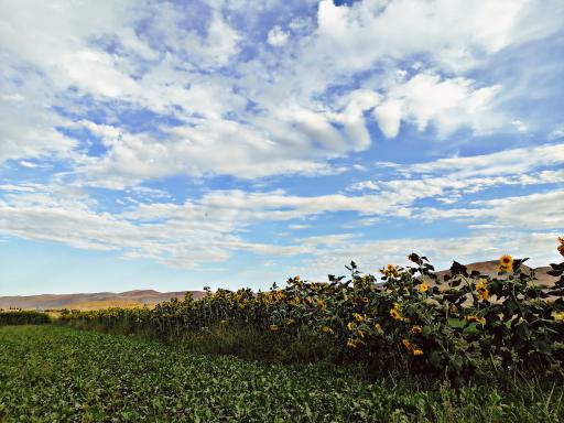 عکس حصار گرمخان