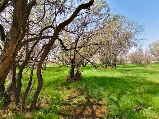 عکس حصار گرمخان