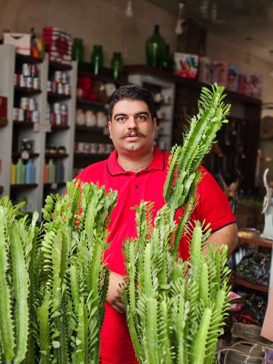 عکس فروشگاه گل و گیاه و کادویی خانه سبز