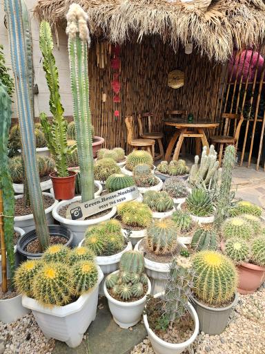 عکس فروشگاه گل و گیاه و کادویی خانه سبز