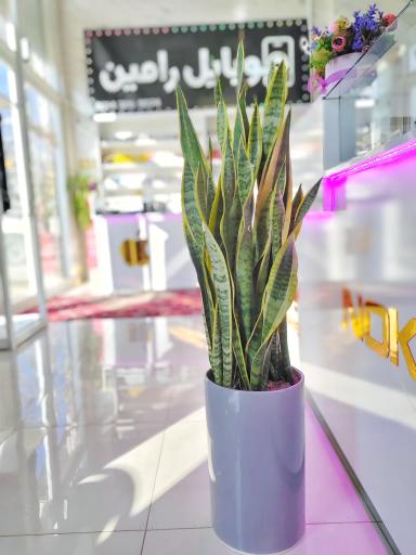 عکس موبایل رامین