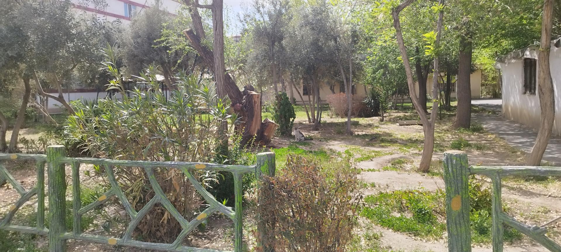 عکس بوستان صارم