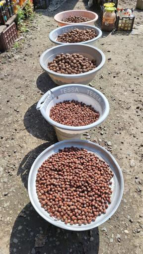 عکس بازار سنتی محلی سفید آب