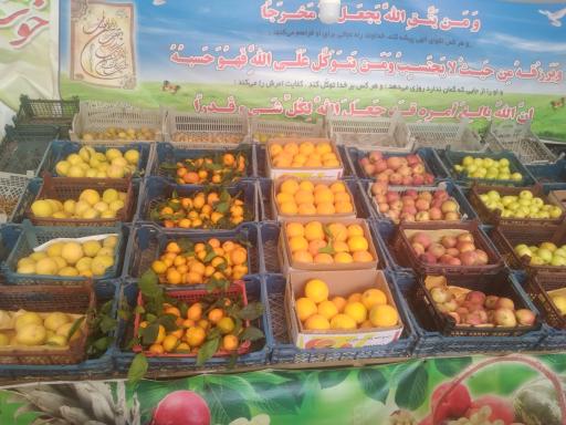 عکس میوه فروشی سلطانی