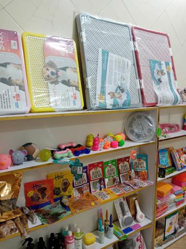 عکس پت شاپ پنبه