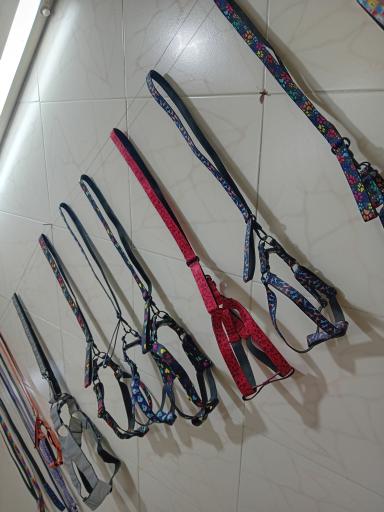 عکس پت شاپ پنبه