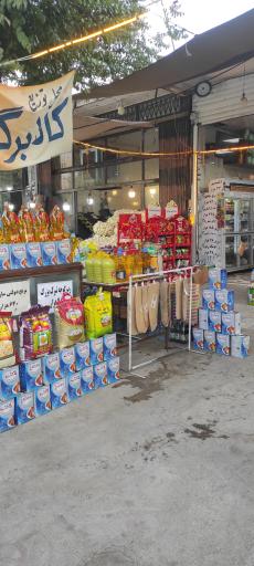 هایپر پروتئین جنوب صادق صادقی