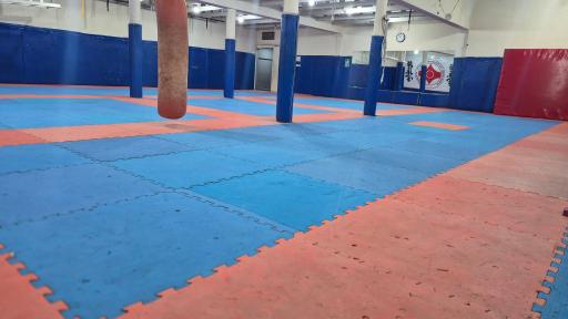 عکس باشگاه ورزشی مانتیس 