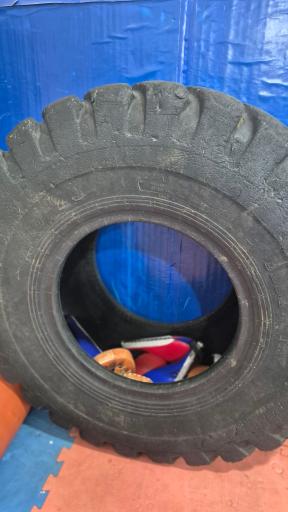 عکس باشگاه ورزشی مانتیس 