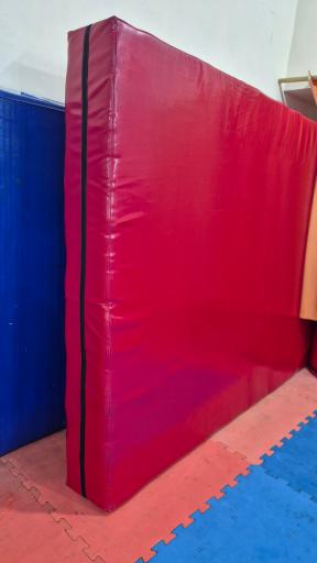 عکس باشگاه ورزشی مانتیس 