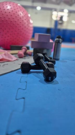 عکس باشگاه ورزشی مانتیس 