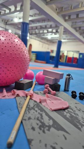 عکس باشگاه ورزشی مانتیس 