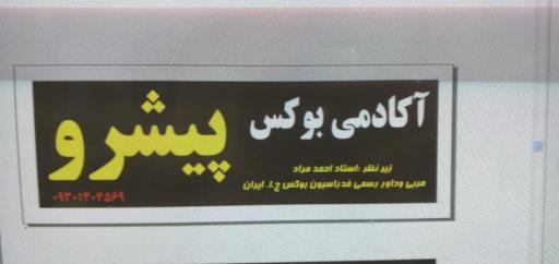 آکادمی بوکس پیشرو ساوالان