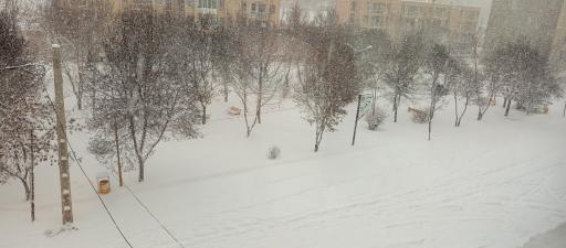 عکس فضای سبز زعفرانیه 