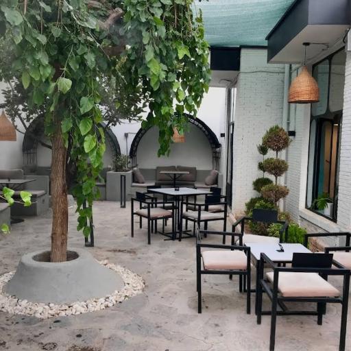 عکس کافه اوکو