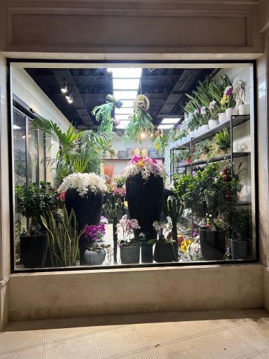 عکس گالری گل روژانو