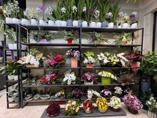 عکس گالری گل روژانو