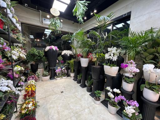 عکس گالری گل روژانو