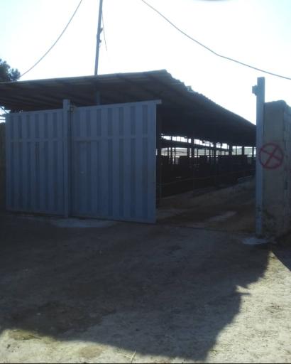 عکس گاوداری حسن حبیب الله