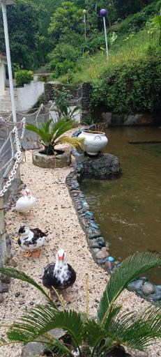 عکس هتل فجر تامین اجتماعی