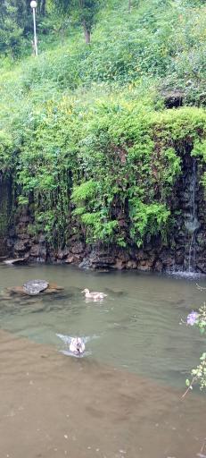 عکس هتل فجر تامین اجتماعی