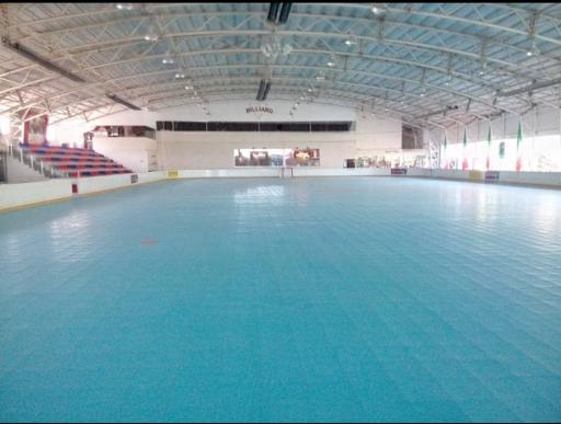 عکس آکادمی اسکیت پارمیس