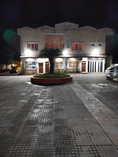 عکس نخل زرین