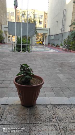 عکس ساختمان مرکزی دانشگاه تابران