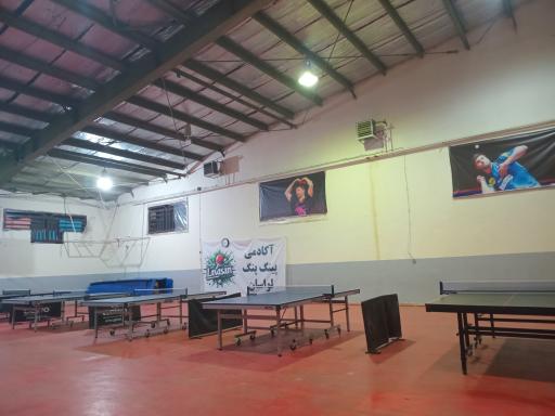 عکس آکادمی پینگ پنگ لواسان